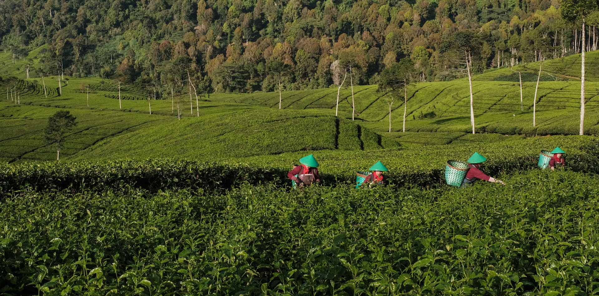 Working on the Field